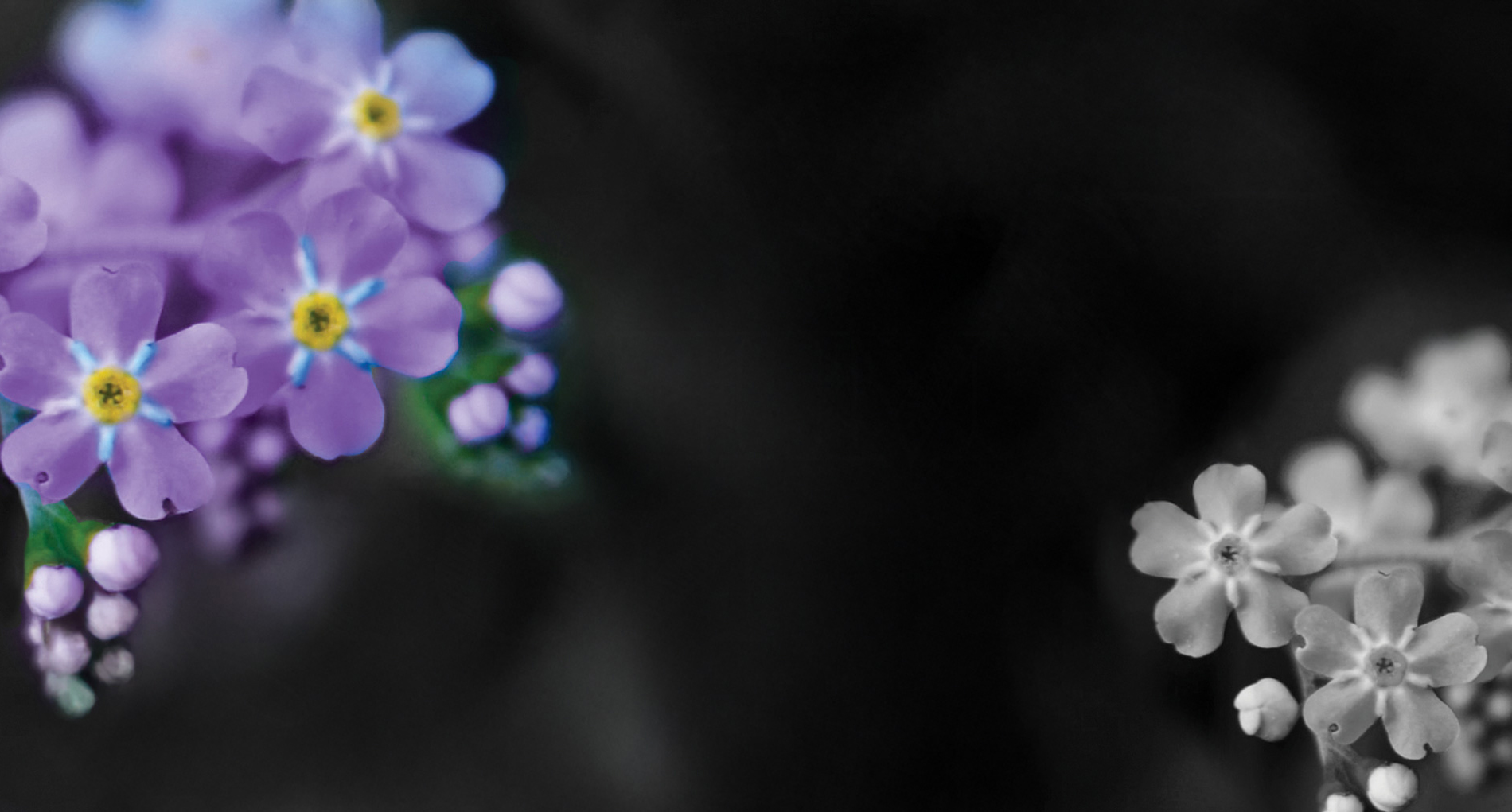 Summit Hills Retirement in Spartanburg