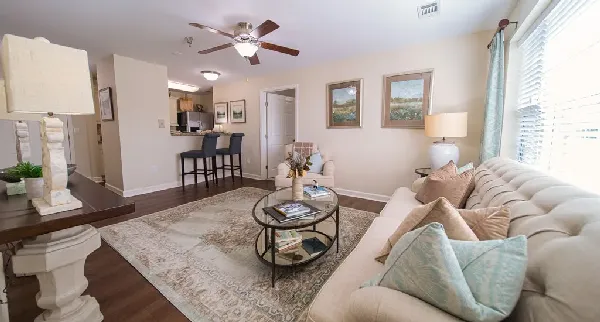Summit Hills Spartanburg SC | Villa Apartment Interior Living 2020-31