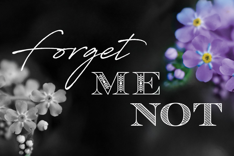 Summit Hills Forget Me Not Gala